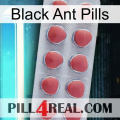 Black Ant Pills 18